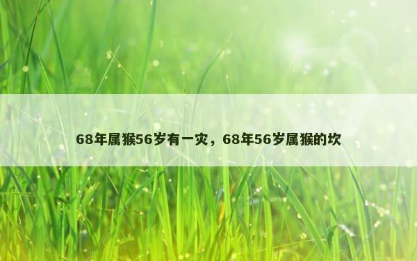 68年属猴56岁有一灾，68年56岁属猴的坎