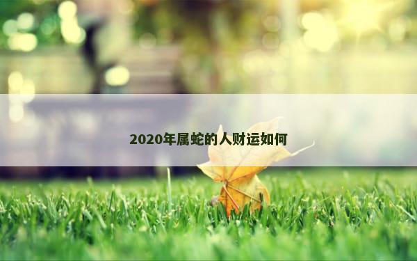 2020年属蛇的人财运如何