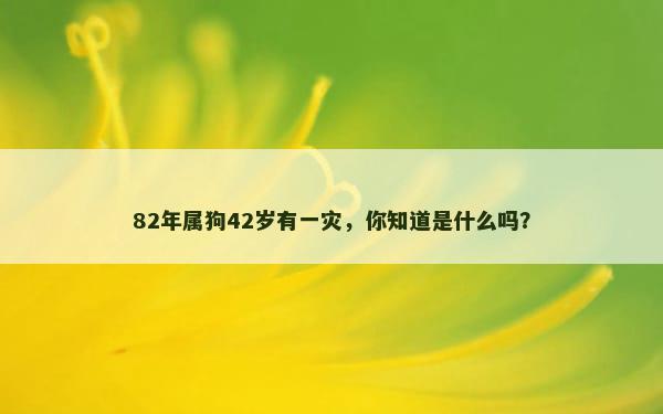 82年属狗42岁有一灾，你知道是什么吗？