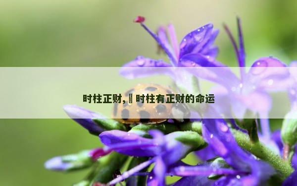 时柱正财,​时柱有正财的命运