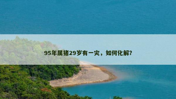 95年属猪29岁有一灾，如何化解？