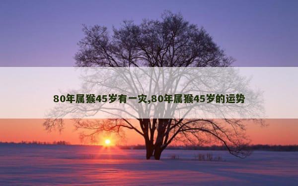 80年属猴45岁有一灾,80年属猴45岁的运势