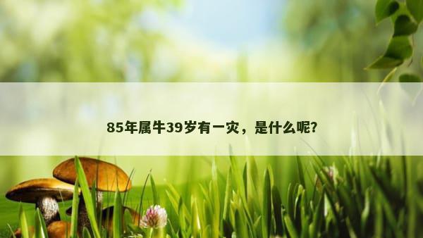 85年属牛39岁有一灾，是什么呢？