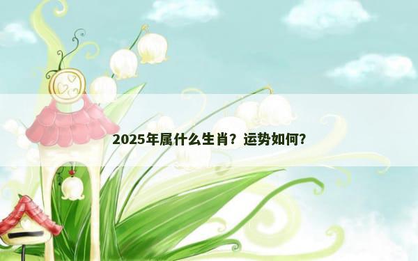 2025年属什么生肖？运势如何？