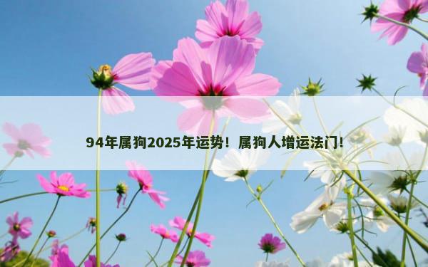 94年属狗2025年运势！属狗人增运法门！