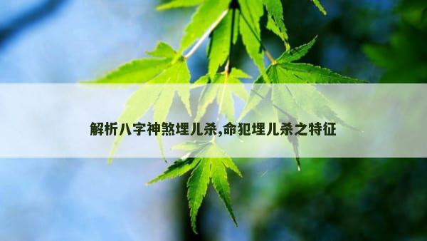 解析八字神煞埋儿杀,命犯埋儿杀之特征