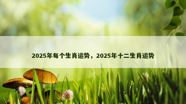 2025年每个生肖运势，2025年十二生肖运势