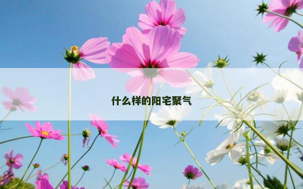 什么样的阳宅聚气