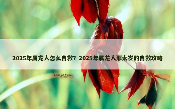 2025年属龙人怎么自救？2025年属龙人邢太岁的自救攻略