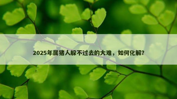 2025年属猪人躲不过去的大难，如何化解？