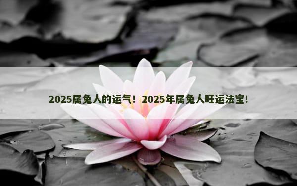 2025属兔人的运气！2025年属兔人旺运法宝！