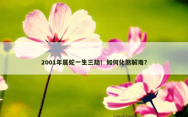 2001年属蛇一生三劫！如何化煞解难？