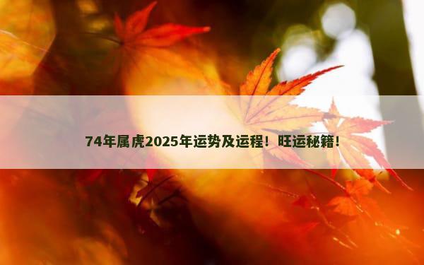 74年属虎2025年运势及运程！旺运秘籍！