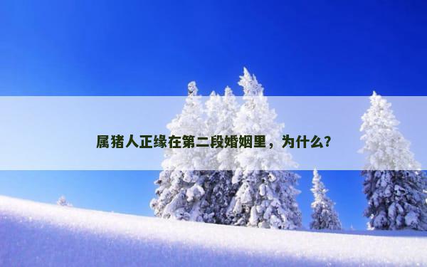 属猪人正缘在第二段婚姻里，为什么？