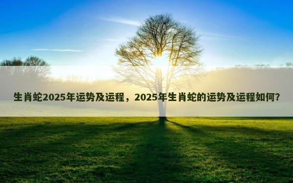 生肖蛇2025年运势及运程，2025年生肖蛇的运势及运程如何？