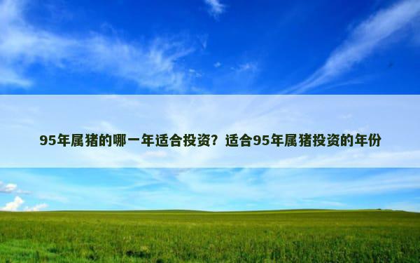 95年属猪的哪一年适合投资？适合95年属猪投资的年份