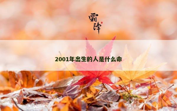 2001年出生的人是什么命