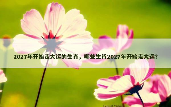 2027年开始走大运的生肖，哪些生肖2027年开始走大运？