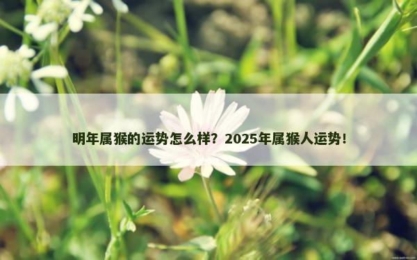 明年属猴的运势怎么样？2025年属猴人运势！