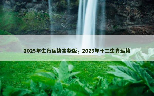 2025年生肖运势完整版，2025年十二生肖运势