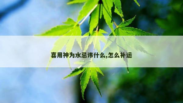 喜用神为水忌讳什么,怎么补运