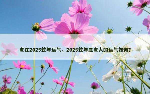 虎在2025蛇年运气，2025蛇年属虎人的运气如何？