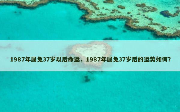 1987年属兔37岁以后命运，1987年属兔37岁后的运势如何？