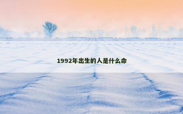 1992年出生的人是什么命