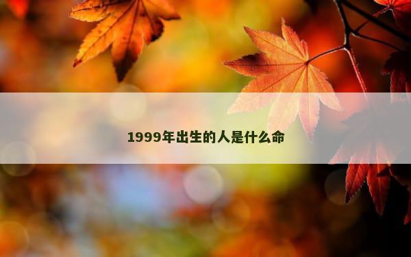 1999年出生的人是什么命