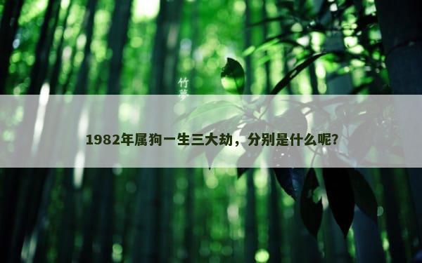 1982年属狗一生三大劫，分别是什么呢？