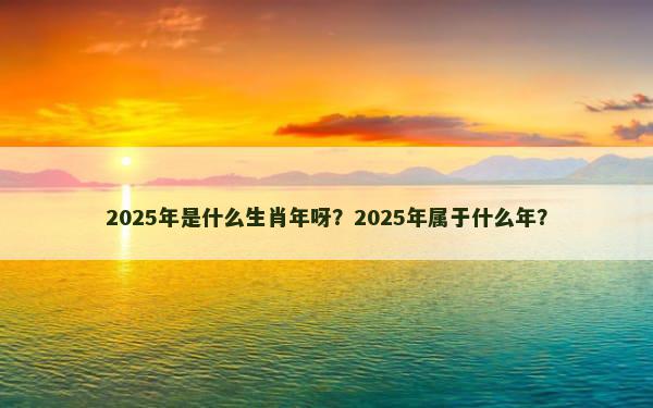 2025年是什么生肖年呀？2025年属于什么年？