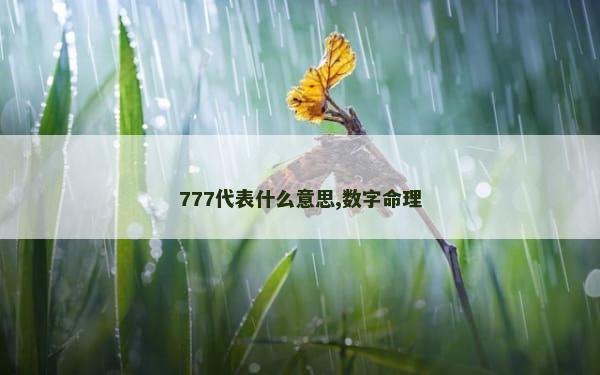 777代表什么意思,数字命理