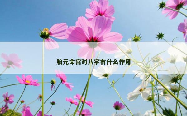 胎元命宫对八字有什么作用