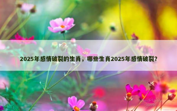 2025年感情破裂的生肖，哪些生肖2025年感情破裂？