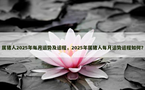 属猪人2025年每月运势及运程，2025年属猪人每月运势运程如何？