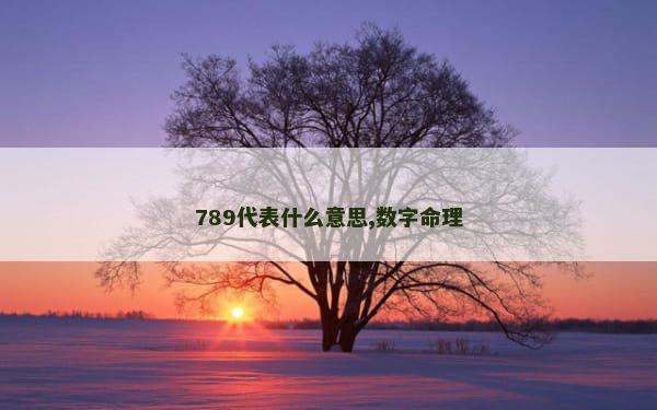 789代表什么意思,数字命理