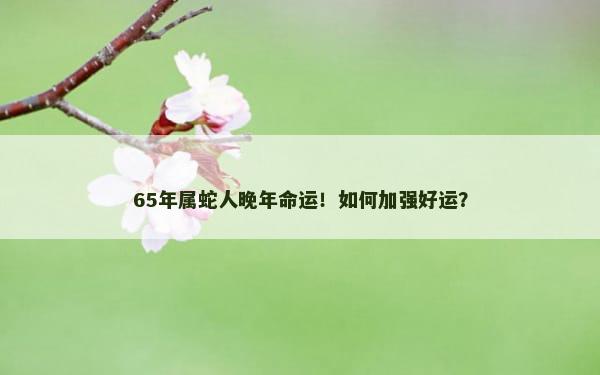 65年属蛇人晚年命运！如何加强好运？