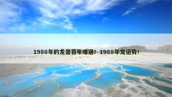 1988年的龙是百年难遇！1988年龙运势！