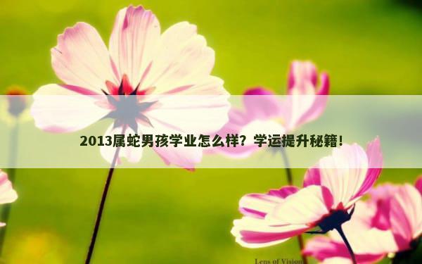 2013属蛇男孩学业怎么样？学运提升秘籍！