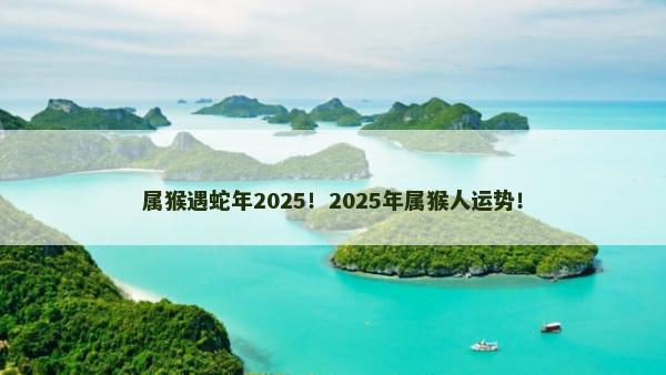 属猴遇蛇年2025！2025年属猴人运势！