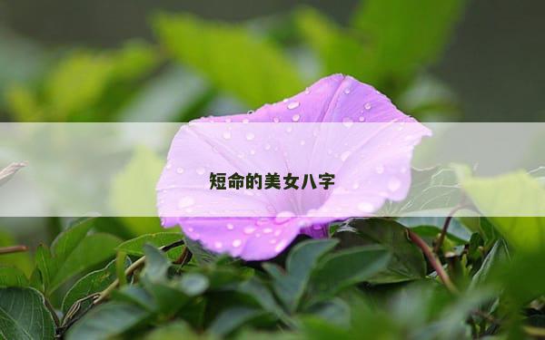 短命的美女八字