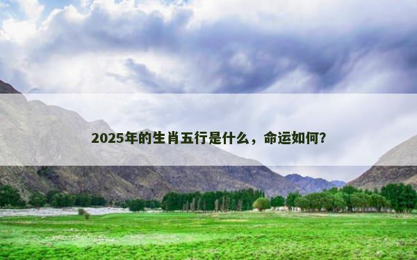 2025年的生肖五行是什么，命运如何？