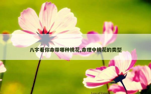 八字看你命带哪种桃花,命理中桃花的类型