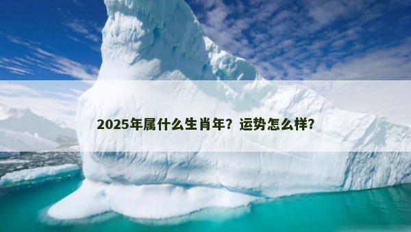 2025年属什么生肖年？运势怎么样？