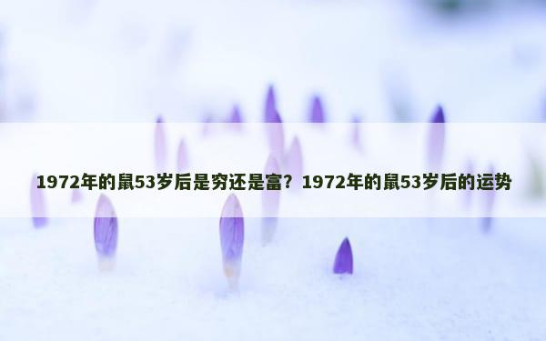 1972年的鼠53岁后是穷还是富？1972年的鼠53岁后的运势