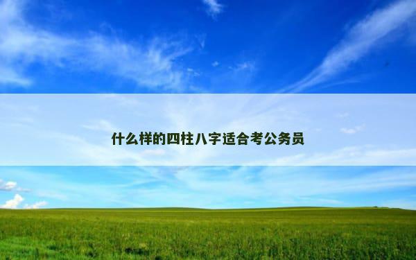 什么样的四柱八字适合考公务员