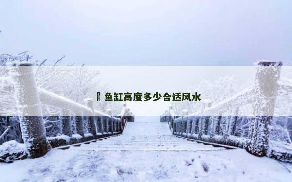 ​鱼缸高度多少合适风水