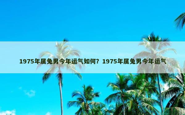 1975年属兔男今年运气如何？1975年属兔男今年运气