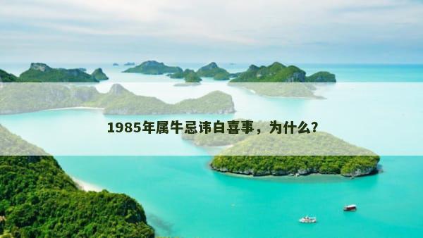 1985年属牛忌讳白喜事，为什么？