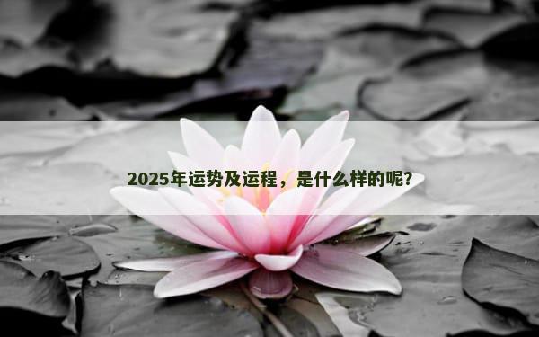 2025年运势及运程，是什么样的呢？